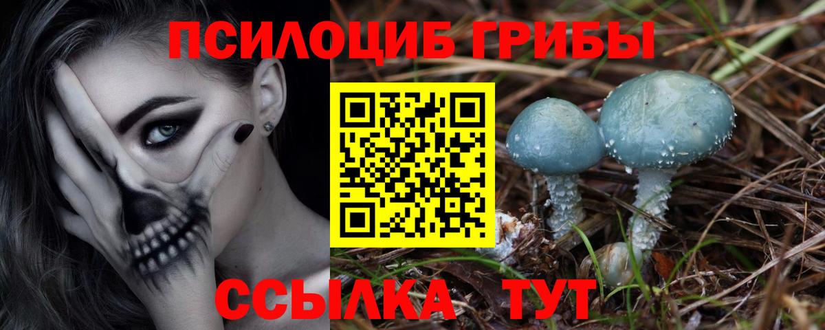 Псилоцибиновые грибы Psilocybine cubensis Добрянка